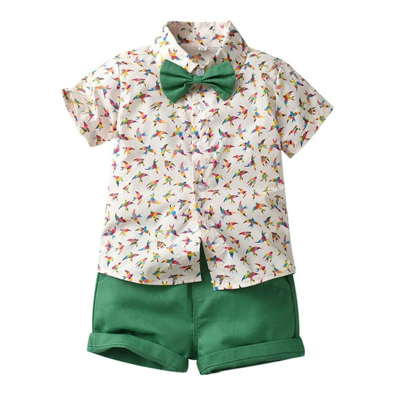 TAIAOJING Kids Baby Boy Summer Clothes Toddler Gentleman Short Sleeve Casual Tops Hawaii Beach Holiday Floral Shirts T Shirt Shorts Outfits Causal Clothes Set 9-12 Months