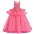 thumbnail image 1 of TAIAOJING Little Girls Princess Dress Kids Toddler Baby Spring Summer Print Ruffle Sleeveless Show Lace Tulle Party Princess Dress Clothing 6-7 Years, 1 of 8