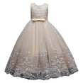 thumbnail image 1 of TAIAOJING Toddler Baby Girl Dress Flower Lace Wedding Dress For Kids Formal Long Maxi Gown Dance Prom Sequin Bowknot Puffy Tulle Dresses For 4-5 Years, 1 of 7