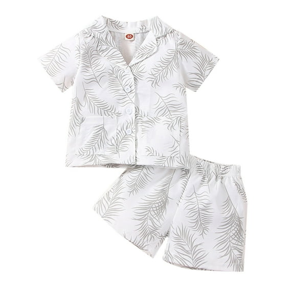 TAIAOJING Toddler Boys 2 Pieces Summer Beach Outfits Shorts Set Toddler Kids Infant Baby Boys Short Sleeve Shirt Tops Print Shorts Pants Outfit Set 2PCS For 9-12 Months