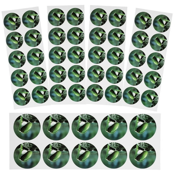 TAILTOSS 5Sheets 10StickersPerSheet Round Green PVC Pot Labels for Vegetable Seedling Labels