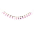 thumbnail image 1 of TAILTOSS Ballet Party Decoration Banner 1Set Pink Rectangular Paper 10.8 x 0.05 x 18.2 Girls, 1 of 7