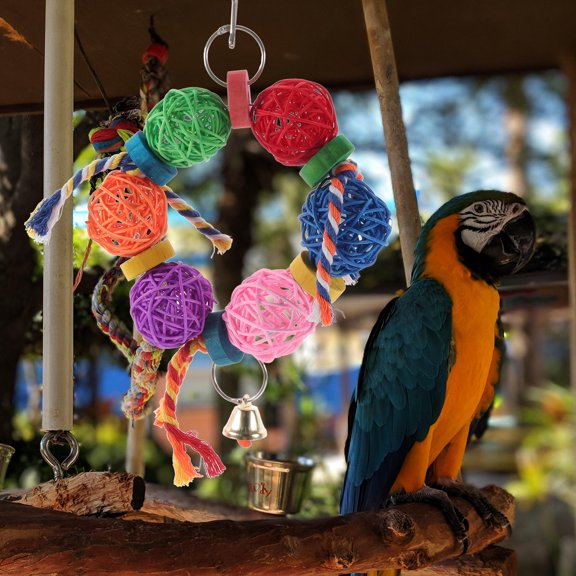 TAILTOSS Bird Toys Wooden Foraging Toys Multi Parrot Shape for Macaws 1 Set