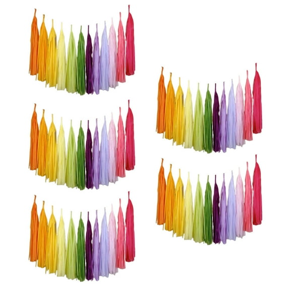 TAILTOSS Tassel Banner Garland for Office Dorm Decoration 60PCS 12x35x1in