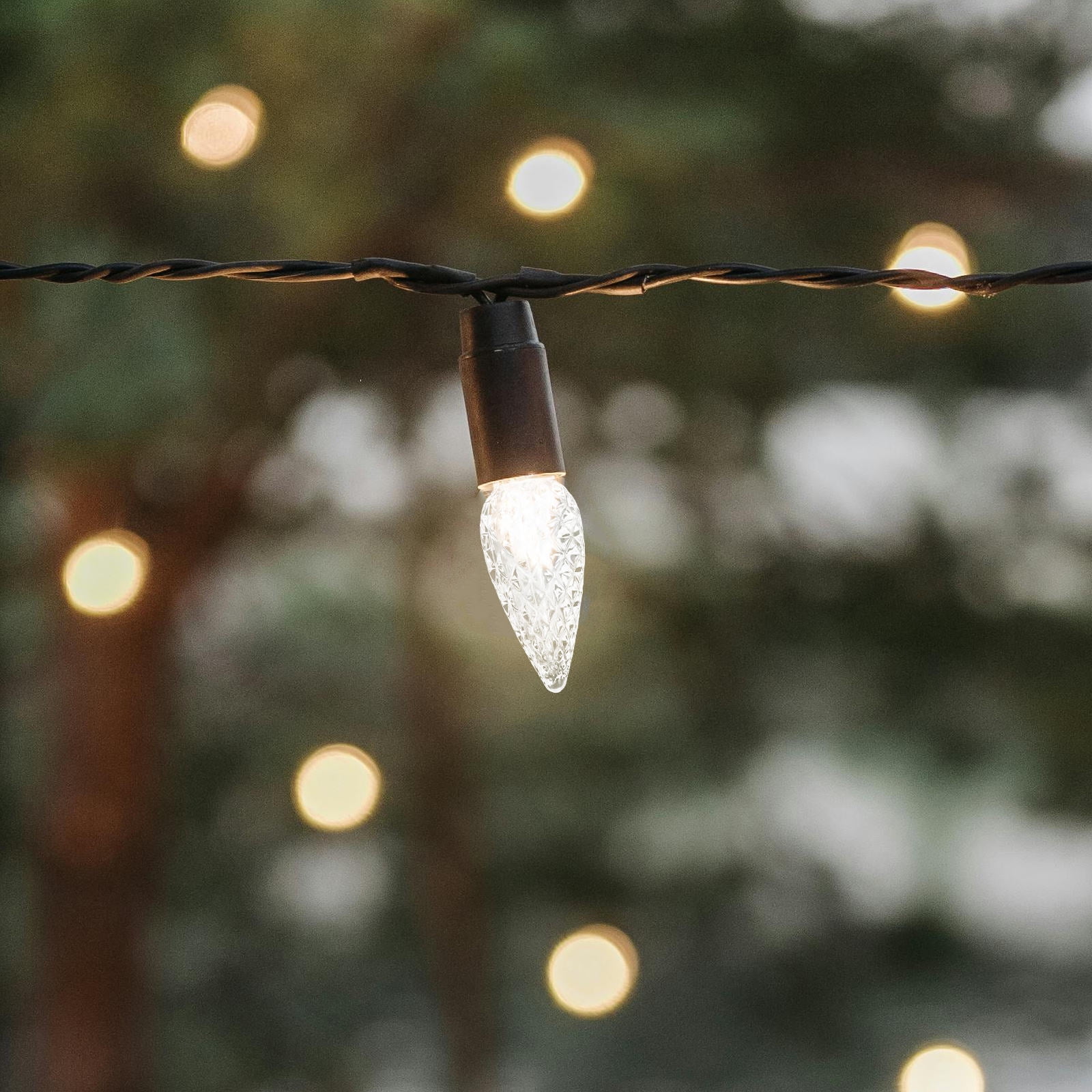 TAILTOSS Transparent Plastic String Light Bulb 100Pcs for Indoor and ...