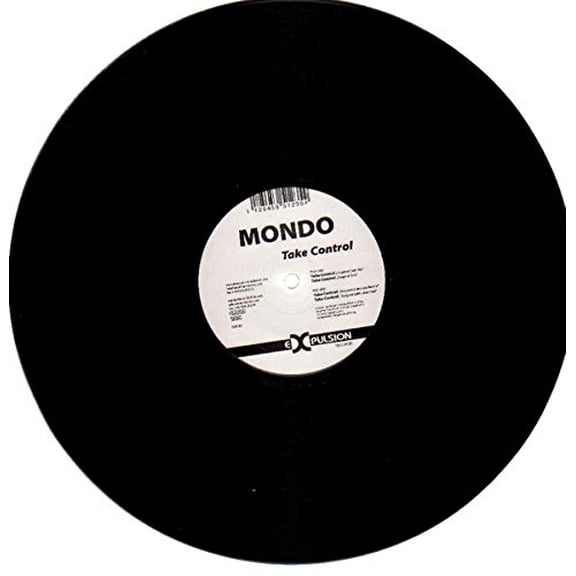 TAKE CONTROL (LP)