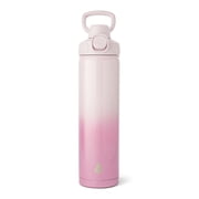 TAL 28oz Stainless Steel Ranger Push Lock Lid Water Bottle, Pink Shimmer
