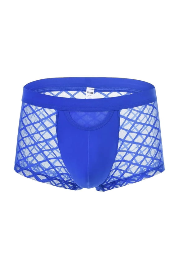 Men's Bulge Enhancing Boxer Briefs Mesh Transparent Underwear Blue M 1-Pack