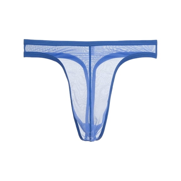 TANBOM Men's Mesh Lightweight Breathable Minimal Coverage Thong Underwear, Blue, 1-Pack, L