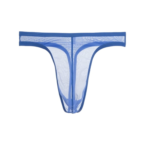 TANBOM Men's Mesh Lightweight Breathable Minimal Coverage Thong Underwear, Blue, 1-Pack, L