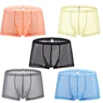 thumbnail image 1 of TANBOM Men's Sexy Mesh See Briefs Nylon Underwear Pack Black/Orange/Blue/Gray/Yellow L 5-Pack, 1 of 9