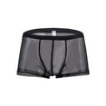 thumbnail image 1 of TANBOM Men's Sexy Mesh See Briefs Nylon Underwear Pack Black XXL 1-Pack, 1 of 1