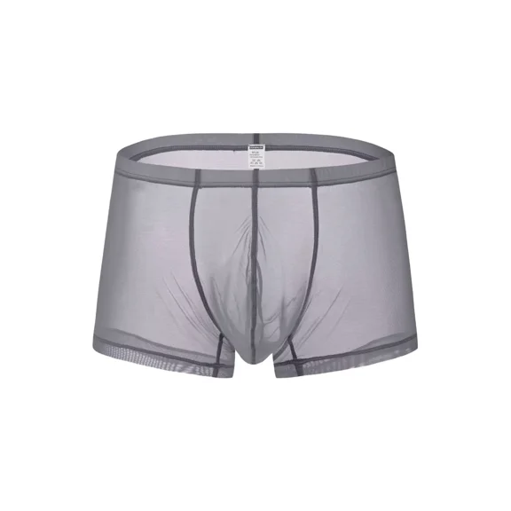 TANBOM Men's Sexy Mesh See Briefs Nylon Underwear Pack Gray L 1-Pack