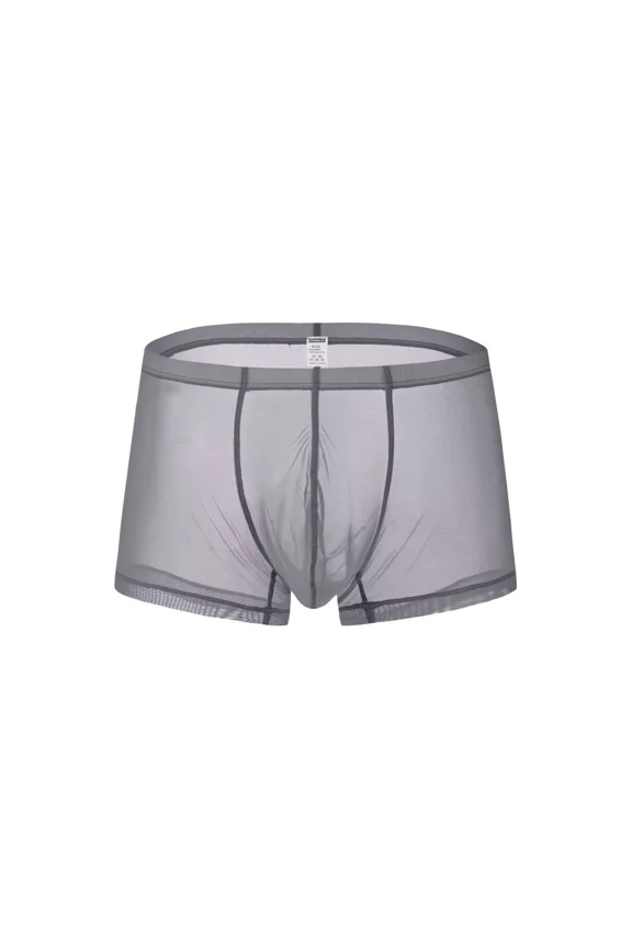 Men's Sexy Mesh See Briefs Nylon Underwear Pack Gray XXXL 1-Pack
