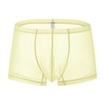 thumbnail image 1 of TANBOM Men's Sexy Mesh See Briefs Nylon Underwear Pack Yellow L 1-Pack, 1 of 1