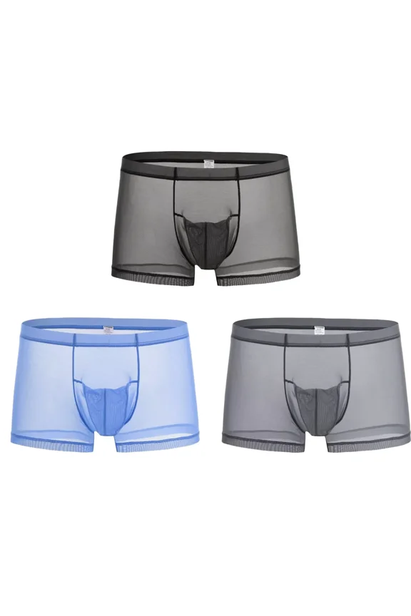 Men's Sexy Through Boxer Briefs Nylon Mesh Underwear Black/Blue/Gray L 3-Pack