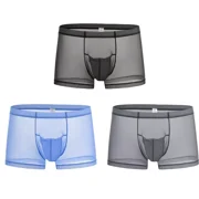 TANBOM Mens Sexy Through Boxer Briefs Nylon Mesh Underwear Black/Blue/Gray L 3-Pack