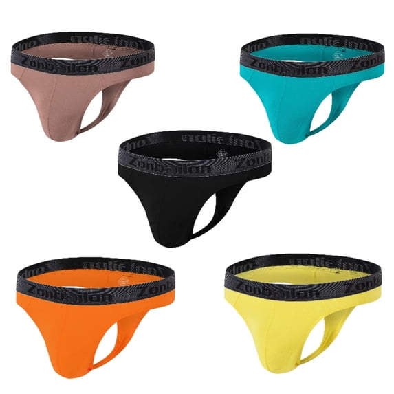 TANBOM Men's Stretchy Breathable Bamboo Viscose Underwear Daily Wear Assorted Colors 5-Pack L