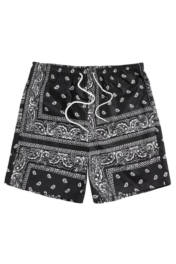 Men's Boho Drawstring Waist Paisley Print Summer Beach Shorts Fashionable Dailywear