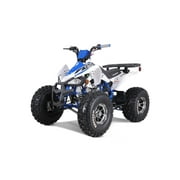 TAO MOTOR 125 CHEETAH PLATINUM ATV, Blue