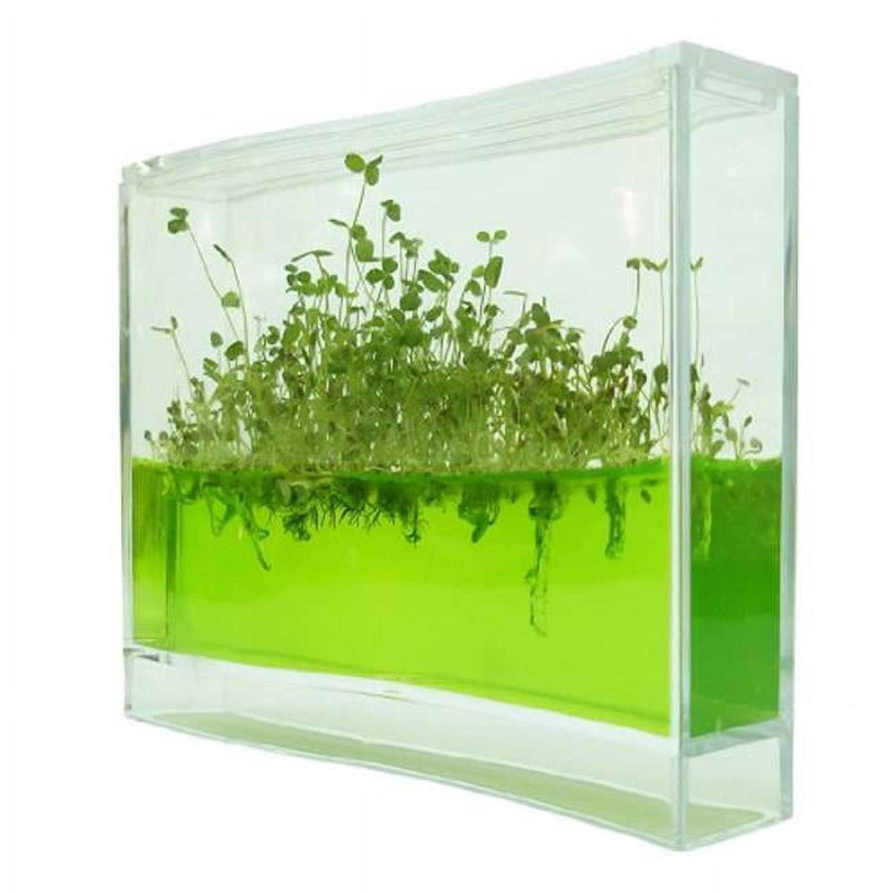 TAOS 80016 Super Seeds Plantarium - Walmart.com