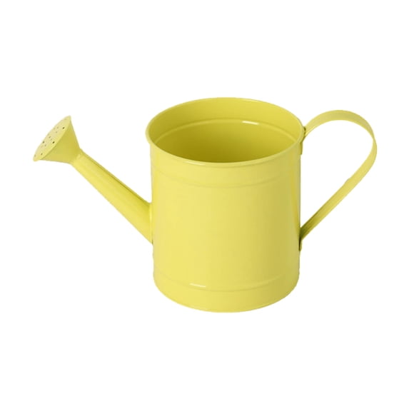 TAROFISH Garden-Themed Solid-Colour Decorative Plant Pot in the Shape of a Watering Can (Not Suitable for Watering)