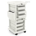 thumbnail image 1 of TASALON Space-Saving Salon Trolley Cart with Lockable Trays, 15.00 x 14.96 x 34.06 Inches, 1 of 6