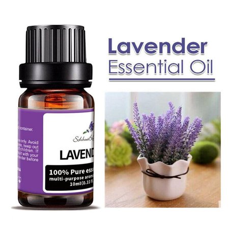 TASHHAR Essential Oils 100% Pure and Natural Fragrances Oil Therapeutic Grade Aromatherapy for Diffusers, Candle Making, Humidifiers - Lavender (10mL)