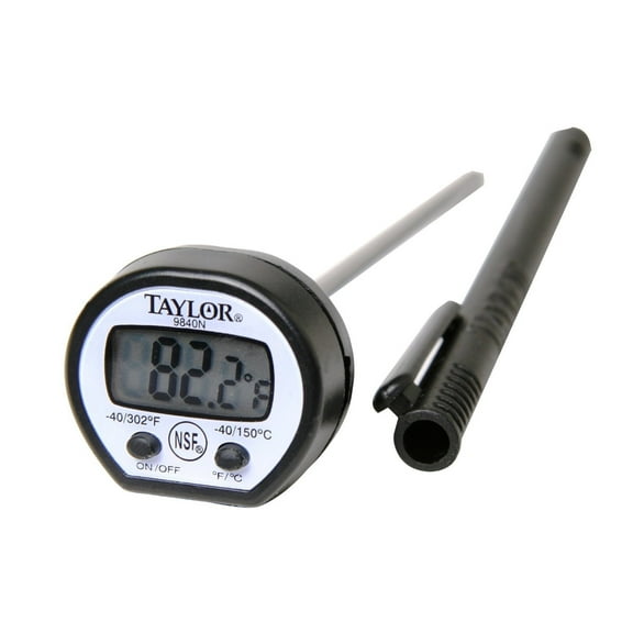 TAYLOR - DIGITAL INSTNT READ THERM