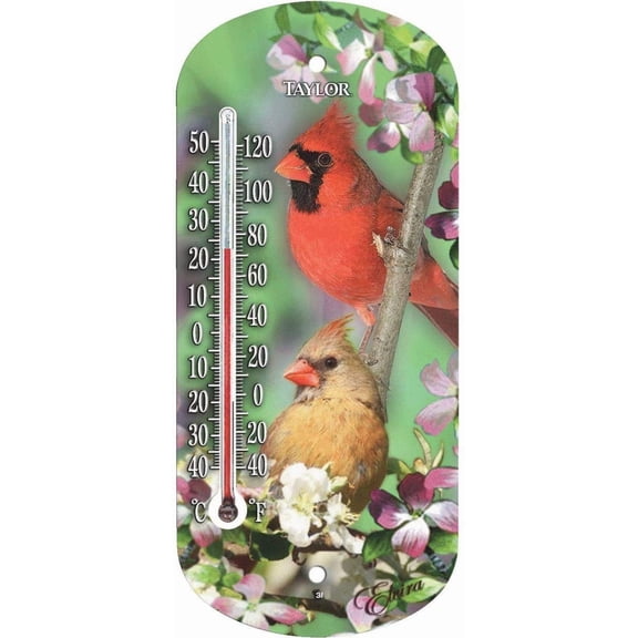 TAYLOR USA Cardinal Window Weather Thermometer, Durable Housing with UV-Resistant Ink