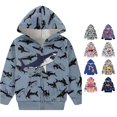 thumbnail image 1 of TBWNWG Boys Anime 3D Digital Print Hooded Pullover Casual Loose Fit Sweatshirt for Daily Wear Autumn Winter Kids Outdoor School Activity, 1 of 4