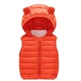 thumbnail image 1 of TBWNWG Boys Coat&Jacket Toddler Kids Winter Warm Sleeveless Vest with Bear Ears Hooded Padded Outwear for Baby Boys and Girls,Sizes 4-5 Years, 1 of 5