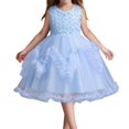 thumbnail image 1 of TBWNWG Girls Elegant Solid Color Puffy Dress with Irregular Mesh Lace Hem Knee Length formal Party Gown,Sizes 2-3 Years, 1 of 4