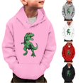 thumbnail image 1 of TBWNWG Little Boys Girls Dinosaur Long Sleeve Hooded Pullover Toddler Kids Winter Warm Sweatshirt Youth Casual Crew Neck Raglan Top Ages 3-14 Years, 1 of 5