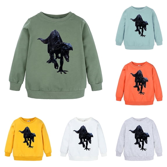 TBWNWG Little Boys Girls Unisex Cartoon Animal Dinosaur Print Pullover Hoodie Kids Sweatshirt Crew Neck Casual Top for Toddler Youth