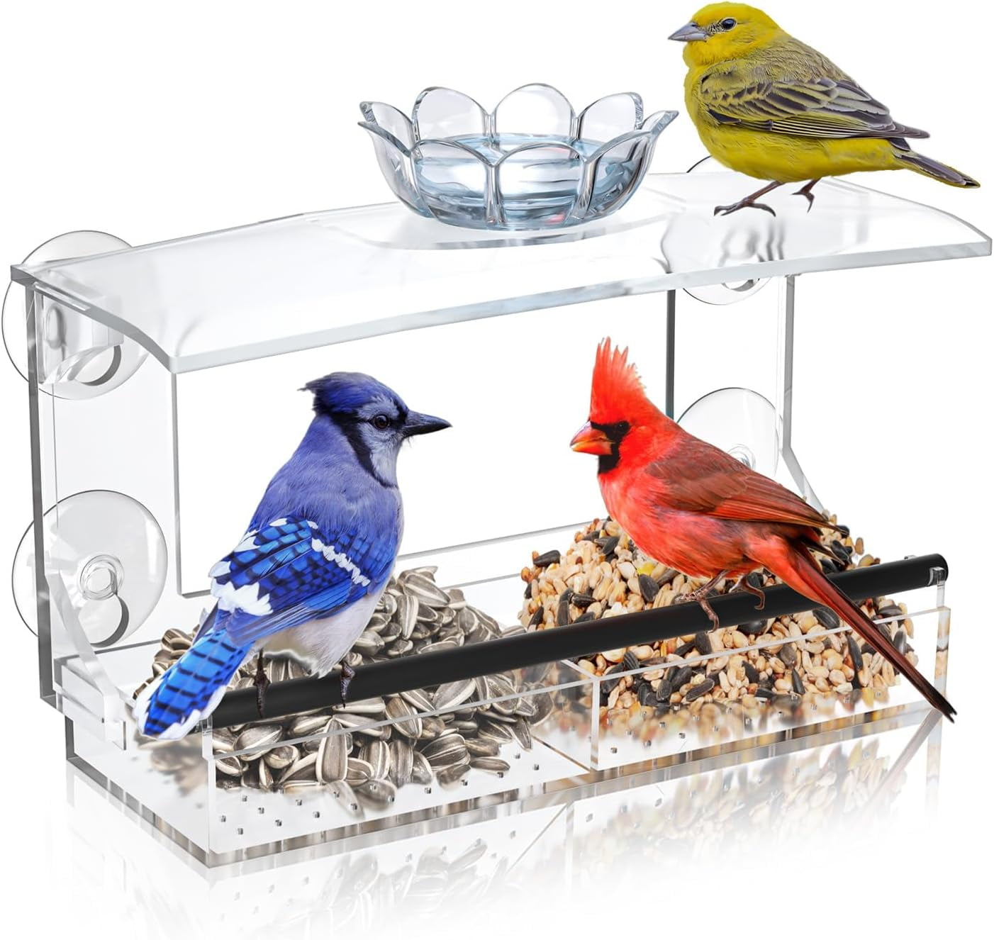 TC-DCDM Window Bird Feeder for Outdoors-Clear Acrylic Window Bird ...