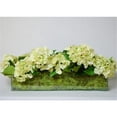 thumbnail image 1 of TC Floral Company Fresh Cut Hydrangea in Rectangular Glass, 1 of 2
