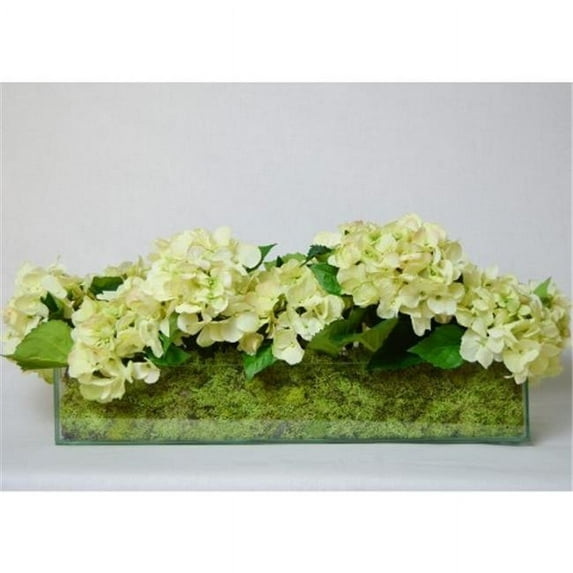 TC Floral Company Fresh Cut Hydrangea in Rectangular Glass