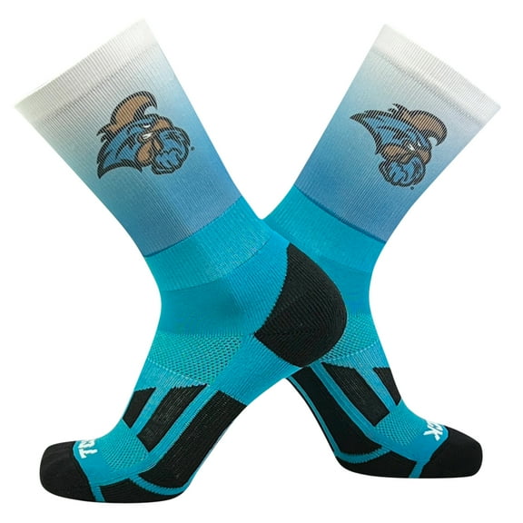 TCK Coastal Carolina Chanticleers Ombre NCAA Licensed Crew Socks (8-13)