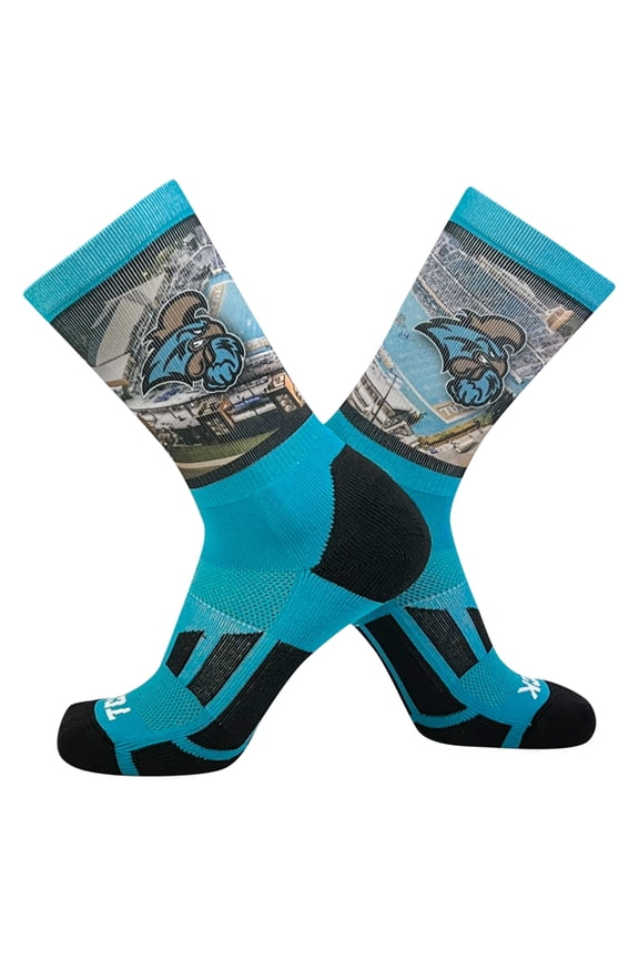 Coastal Carolina Chanticleers stadium NCAA Licensed Crew Socks (8-13)