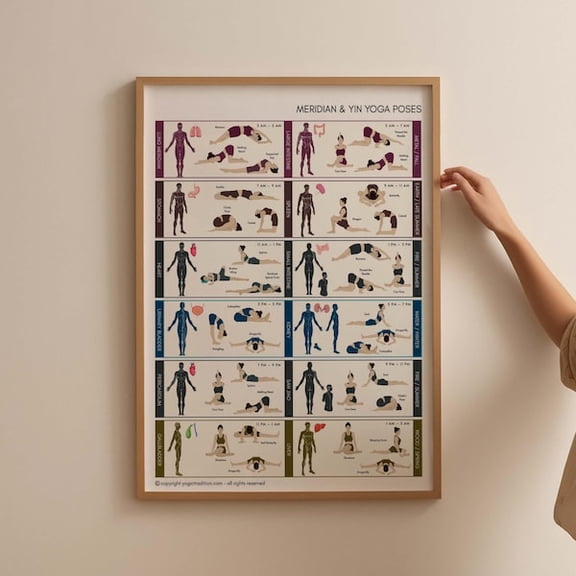 TCM Meridian Yin Yoga Poses Chart Poster, Chinese Medicine , Chinese 12 Meridians Chart Acupuncture, Acupuncturist Office Decor, Unframed Paper Poster 8x10in