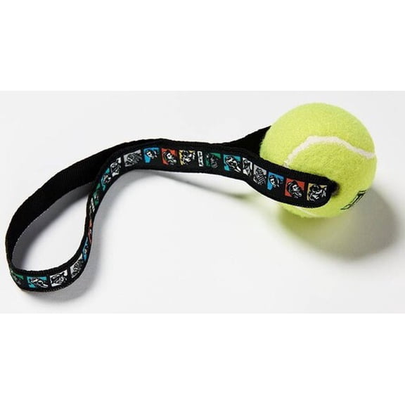 TCM Pets: Ball Toss Toy  [SPECIAL PRODUCTS] Toy