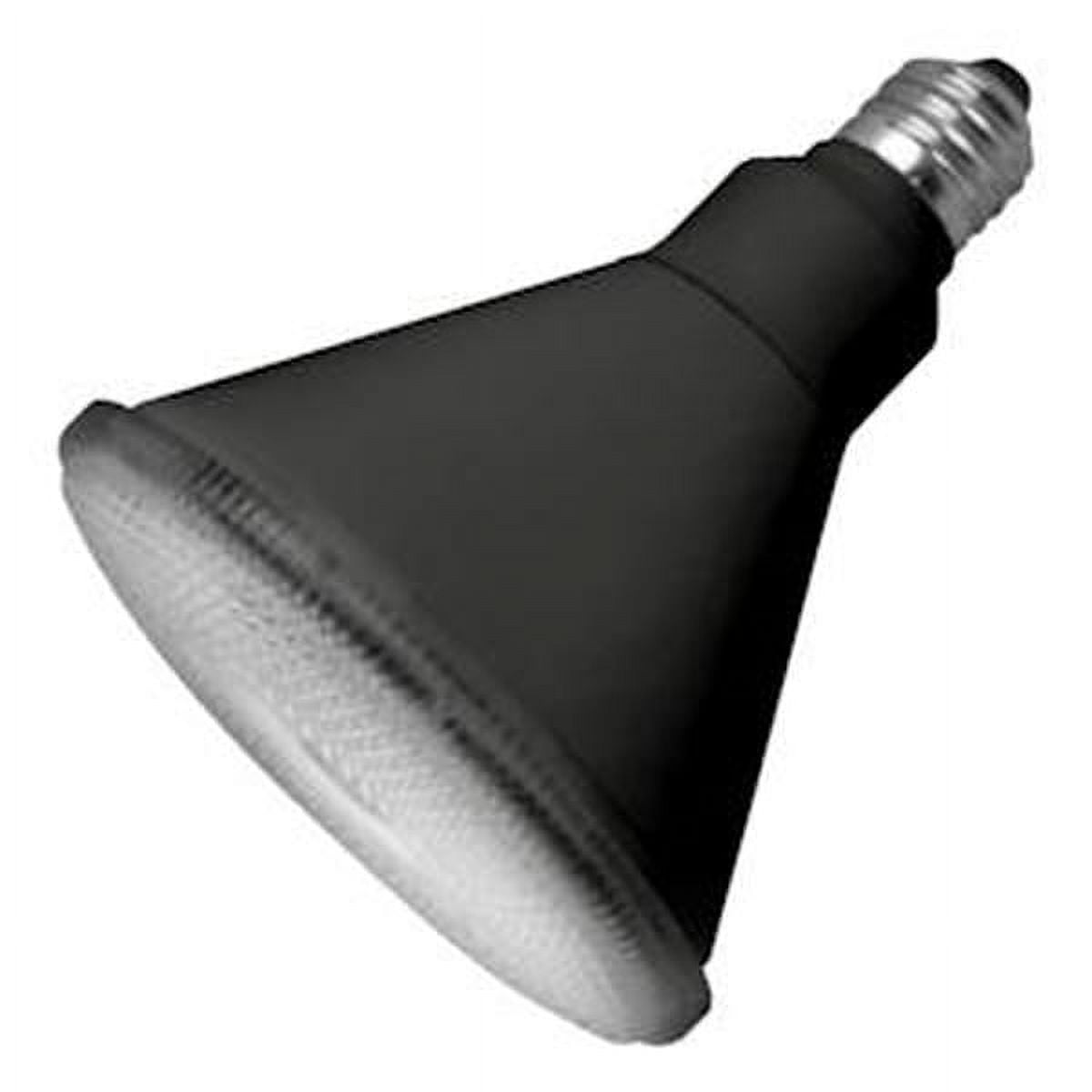 TCP Black Dim 17W Smooth P38 30K 40d (LED17P38D30KFLB) Lamp Bulb ...
