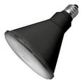 thumbnail image 1 of TCP Black Dim 17W Smooth P38 30K 40d (LED17P38D30KFLB) Lamp Bulb Replacement, 1 of 1