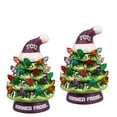 thumbnail image 1 of TCU Horned Frogs 2-Pack 4" Ceramic LED Christmas Tree Set, 1 of 3