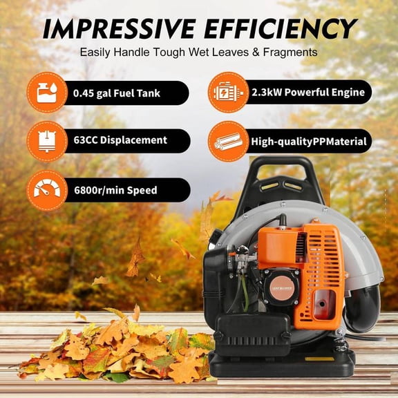 TDH Gas Backpack Leaf Blower, 2-Stroke Handheld Snow Blower with 665 CFM & 205 MPH High Power for Commercial Lawn Care, Yard Debris & Snow Removal, Black