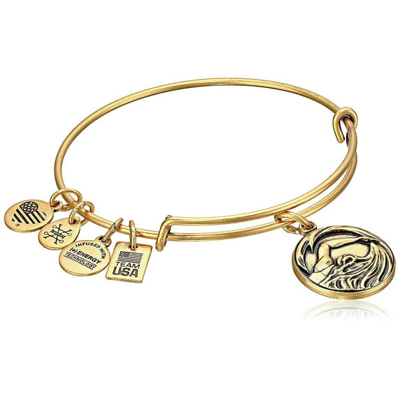 TEAM USA SWIMMING Rafaelian Gold Bangle New W /Tag Card & Box