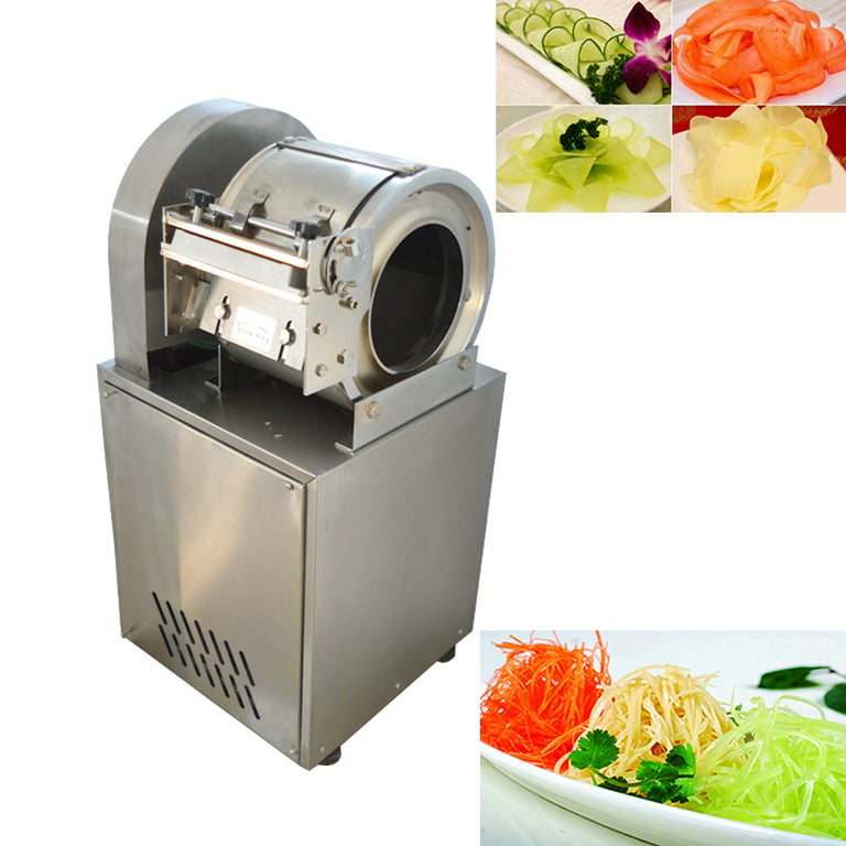 TECHTONGDA Commercial Electric Vegetable Cutter Slicer Machine for  Restaurant Kitchen Chopper Cutting (110V, Enclosed Type) 