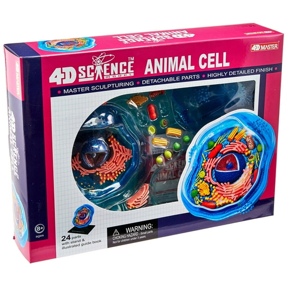 TEDCO 4D Science Animal Cell Anatomy Model, Educational Focus, 26700