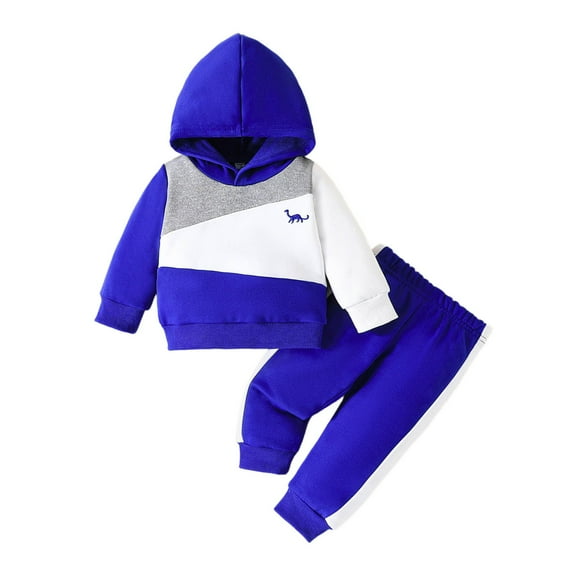 TEDOYE Boys Winter Outfits Sets Dinosaur Hooded Sweatshirt With Pants Toddler 1-3 Years Warm Casual Play Clothes For Daily Outdoor Travel Party Fashionable Wear, 9-12 Months